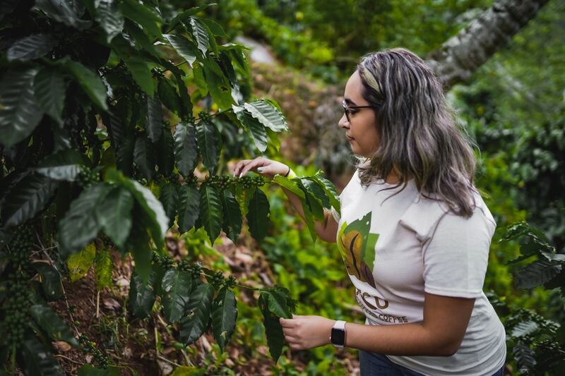 Jóvenes empresarios reusan la borra del café